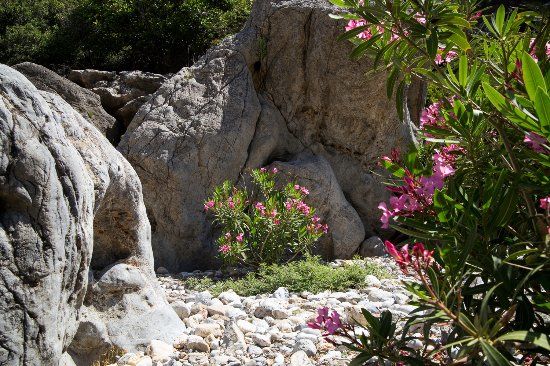 Aposelemis canyon